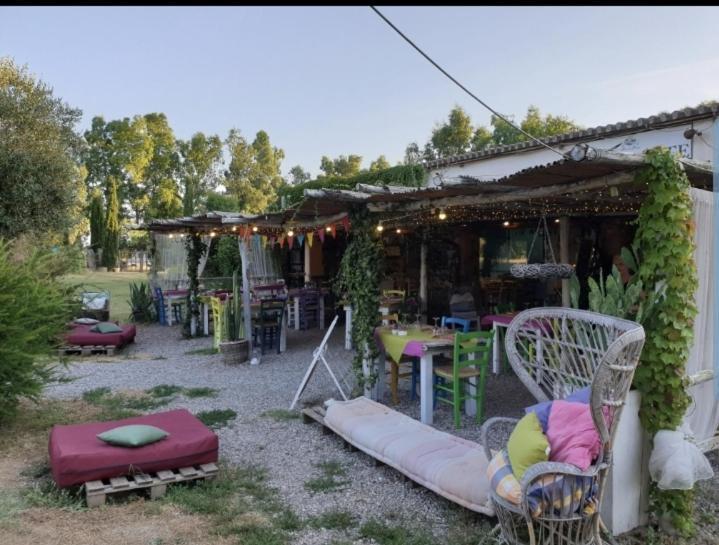 Il Piccolo Borgo Leilighet Montalto di Castro Eksteriør bilde
