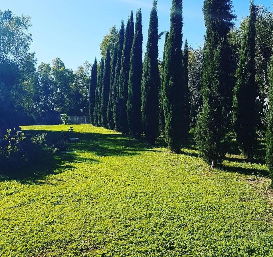 Il Piccolo Borgo Leilighet Montalto di Castro Eksteriør bilde
