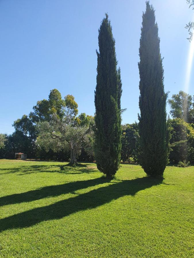 Il Piccolo Borgo Leilighet Montalto di Castro Eksteriør bilde