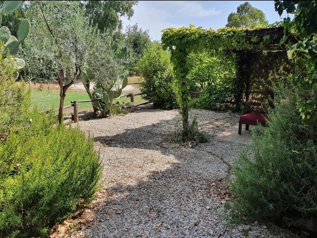 Il Piccolo Borgo Leilighet Montalto di Castro Eksteriør bilde